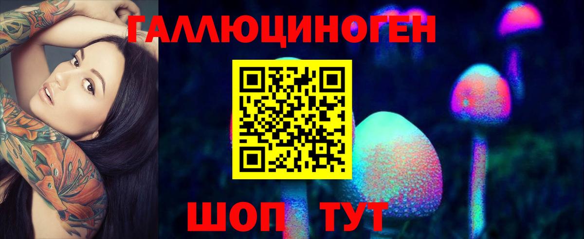 Псилоцибиновые грибы GOLDEN TEACHER  Вход с VPN  Мыски  Галлюциногенные грибы MAGIC MUSHROOMS 