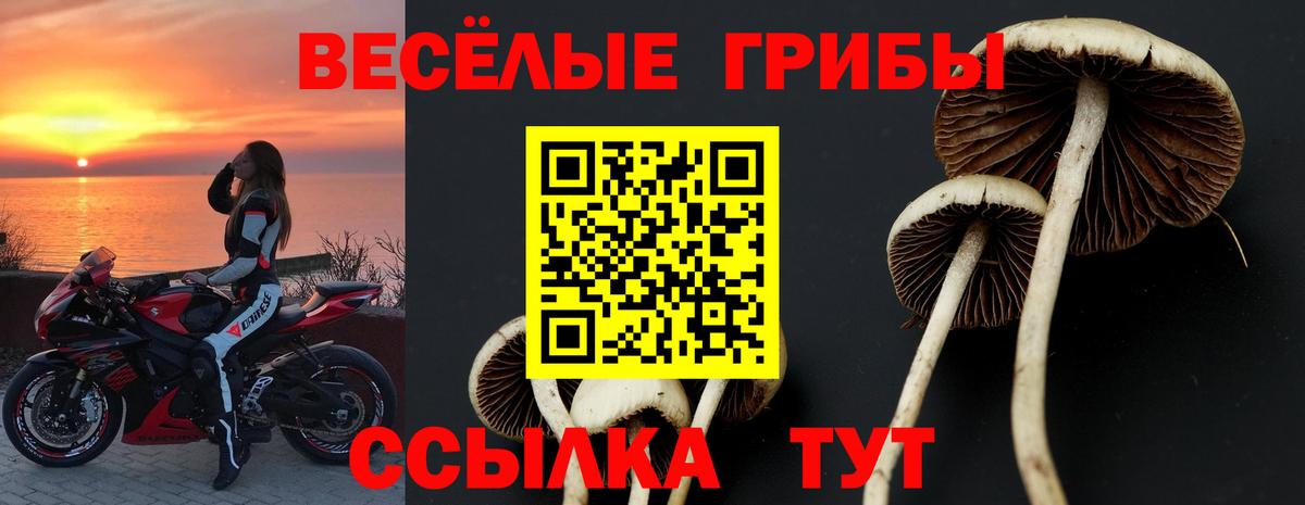 Галлюциногенные грибы Magic Shrooms Мыски
